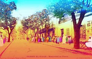 Teniet el Haad - La rue de Tiaret